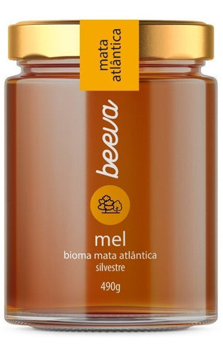 Mel Beeva Mata Atlântica Silvestre Vidro 490g